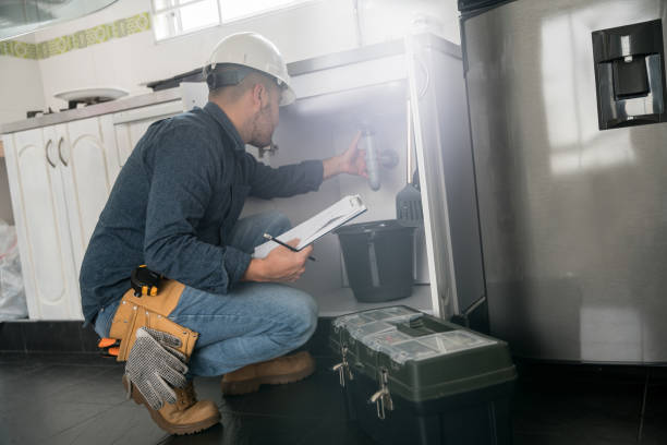 Best Commercial Plumbing Services  in Bloomfield, MO