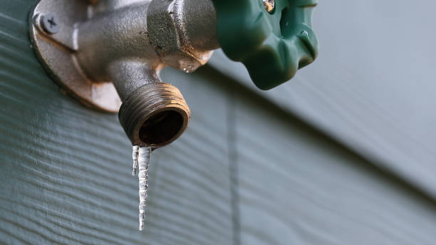 Best Plumbing Inspection Services  in Bloomfield, MO